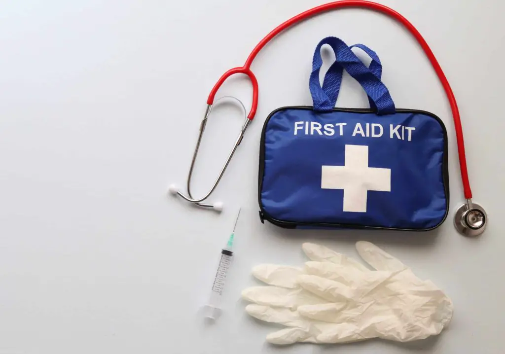 National Responsible Dog Ownership Month picture of a first aid kit