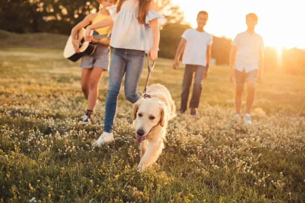 National Walk Your Dog Week group of friends walking dog in meadow