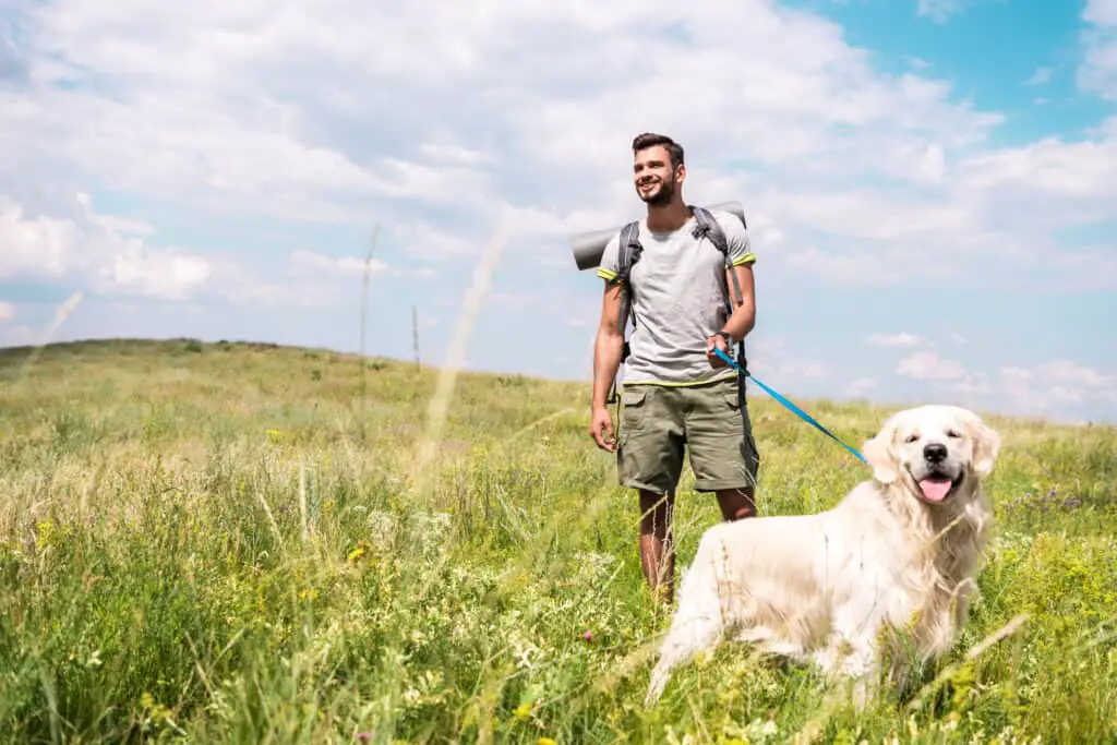 National Walk Your Dog Week man with backpack walking dog in meadow