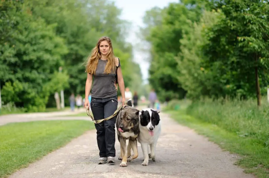 National Walk Your Dog Week woman walking dog on path