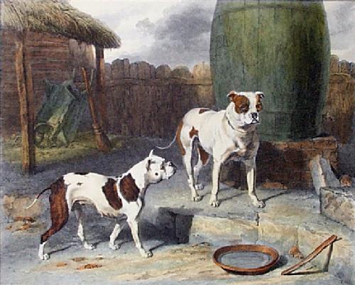 Old painting of Bulldogs named Crib and Rosa in 1811 where they are taller with much longer snouts. They look the boxer dog.