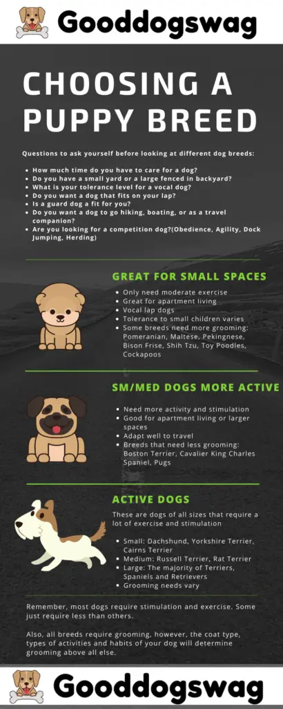 How To Take Care Of A Puppy Choosing A Puppy Breed Infographic