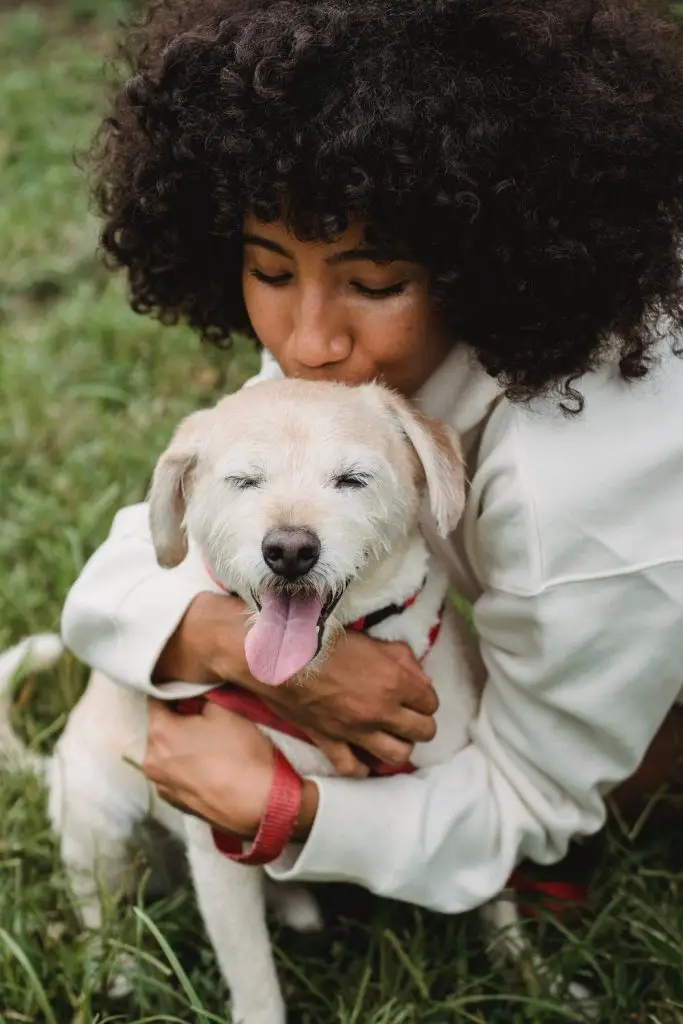 How to Potty Train an Older Dog in an Apartment Old dog being hugged by woman