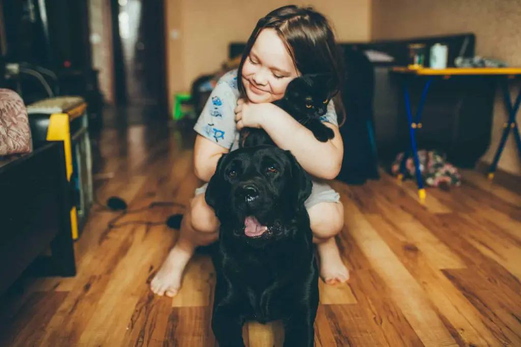 Benefits of owning a dog girl smiling while hugging cat and straddling dog's back.