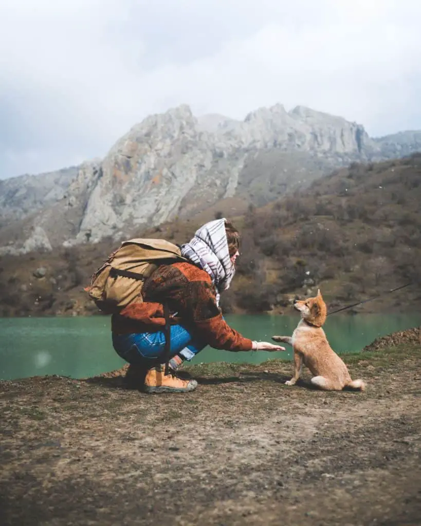Woman giving dog a "high five" hiking in mountains with lake in background