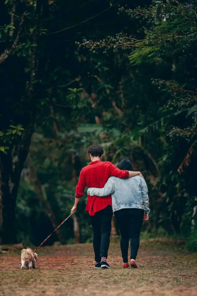 Couple from behind walking dog in the woods