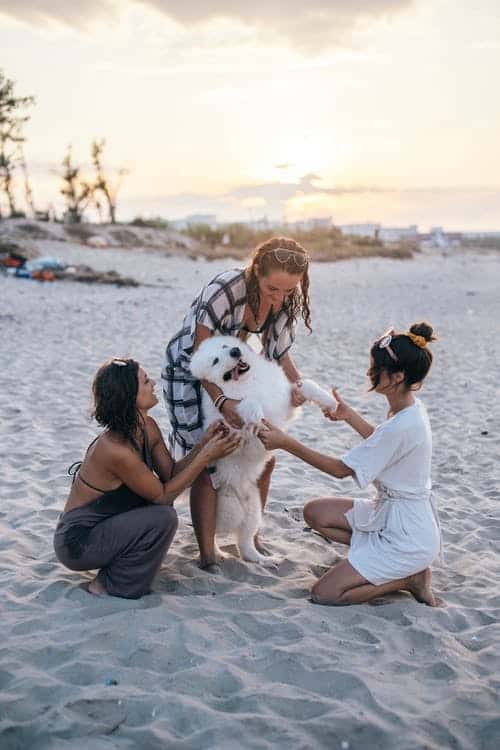 Benefits of owning a dog Three women on beach playing with American Eskimo dog