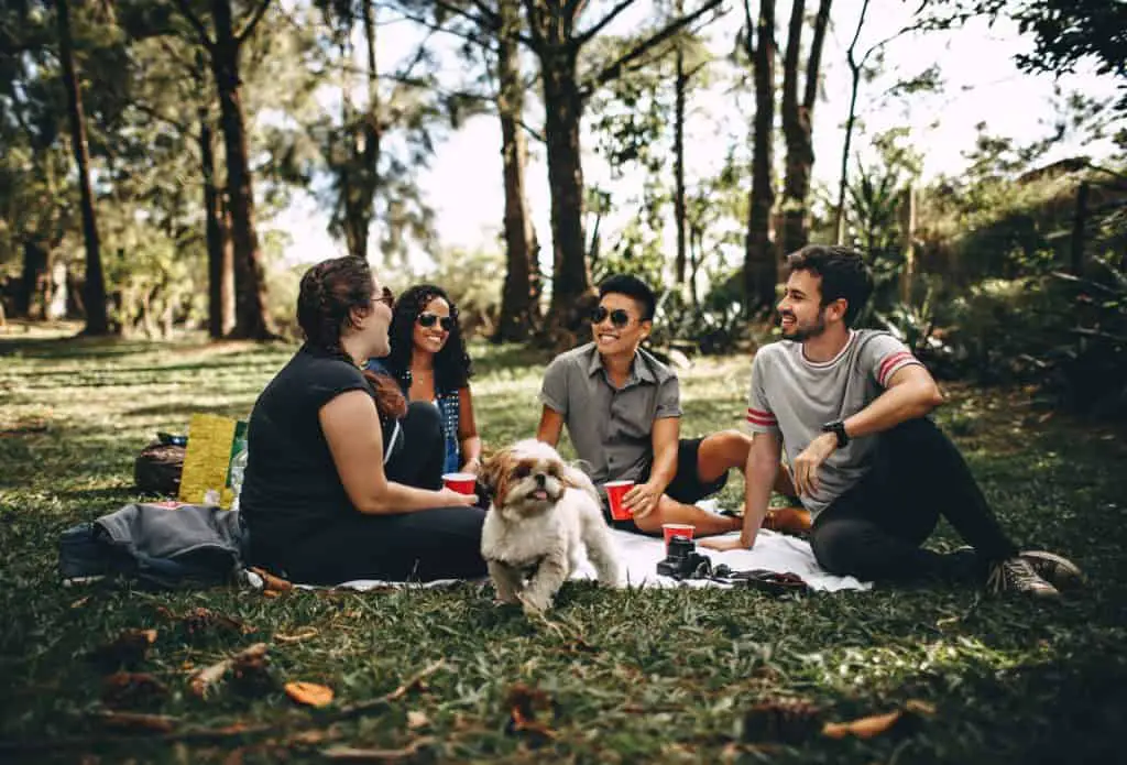Four friends sitting on picnic blanket with dog