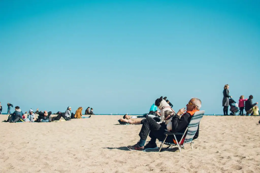 Man sitting fully clothed on the beach in a beach chair with a French bulldog on his lap