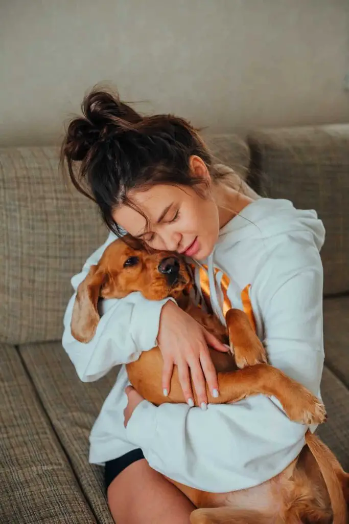 Benefits of owning a dog girl in hoodie sitting on couch snuggling with dog