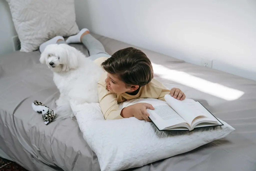 Little boy on stomach reading book to dog