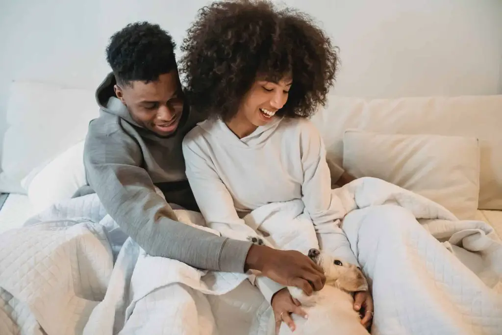 Couple lying in bed under covers while playing with dog