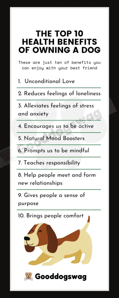 Benefits of Owning a Dog Top Ten infographic 1. Unconditional Love 2. Reduces Feelings of Lonliness 3. Alleviates feelings of stress and anxiety 4. Encourages us to be active 5. Natural Mood Boosters 6. Prompts us to be mindful 7. Teaches responsibility 8. Help people meet and form new relationships 9. Gives people a sense of purpose 10. Brings People comfort