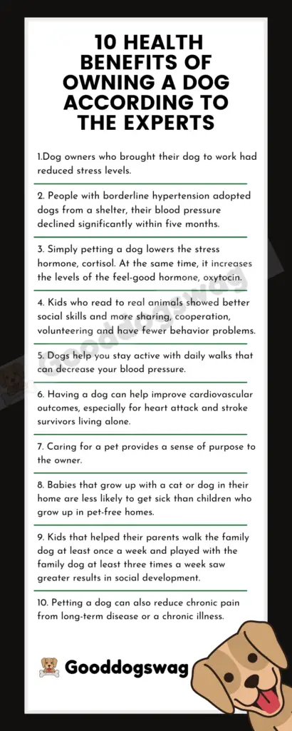 10 Health Benefits of Owning a Dog Infographic 2
