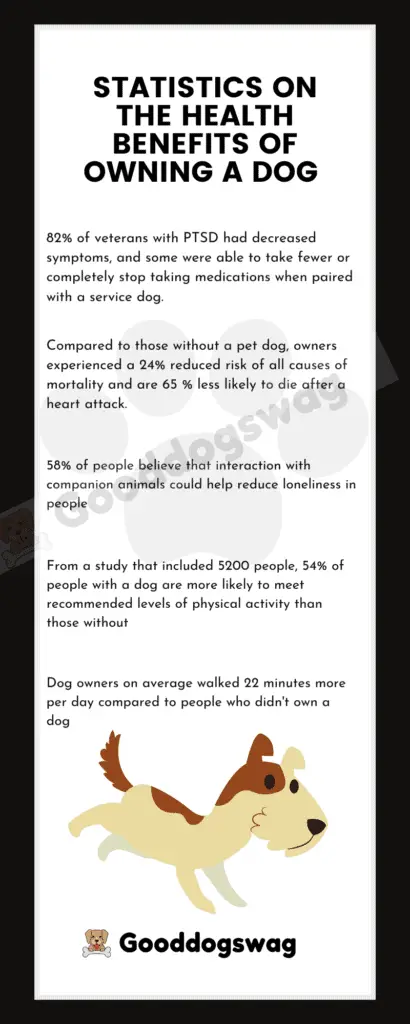 Statistics on the health benefits of owning a dog 82% of veterans with Ptsd had decreased symptoms dog, owners experienced a 24% reduced risk of all causes of mortality and are 65 % less likely to die after a heart attack 58% of people believe that interaction with companion animals could help reduce loneliness in people From a study that included 5200 people, 54% of people with a dog are more likely to meet recommended levels of physical activity than those without Dog owners on average walked 22 minutes more per day compared to people who didn't own a dog