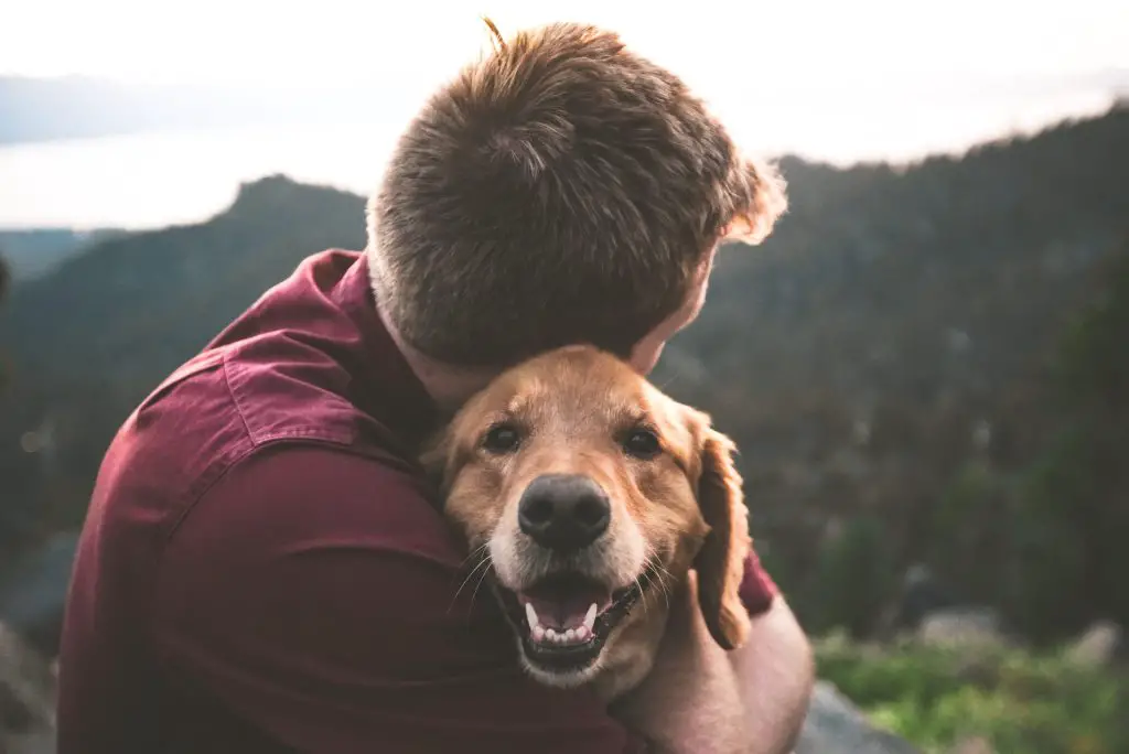 man hugging his golden retriever dog