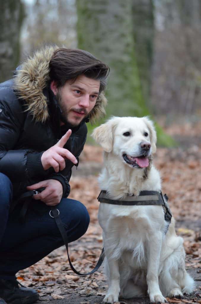 How to Potty Train a Deaf Dog