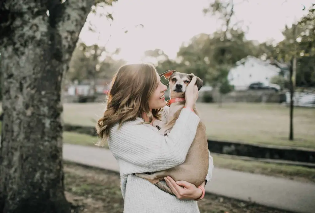 dog being held
