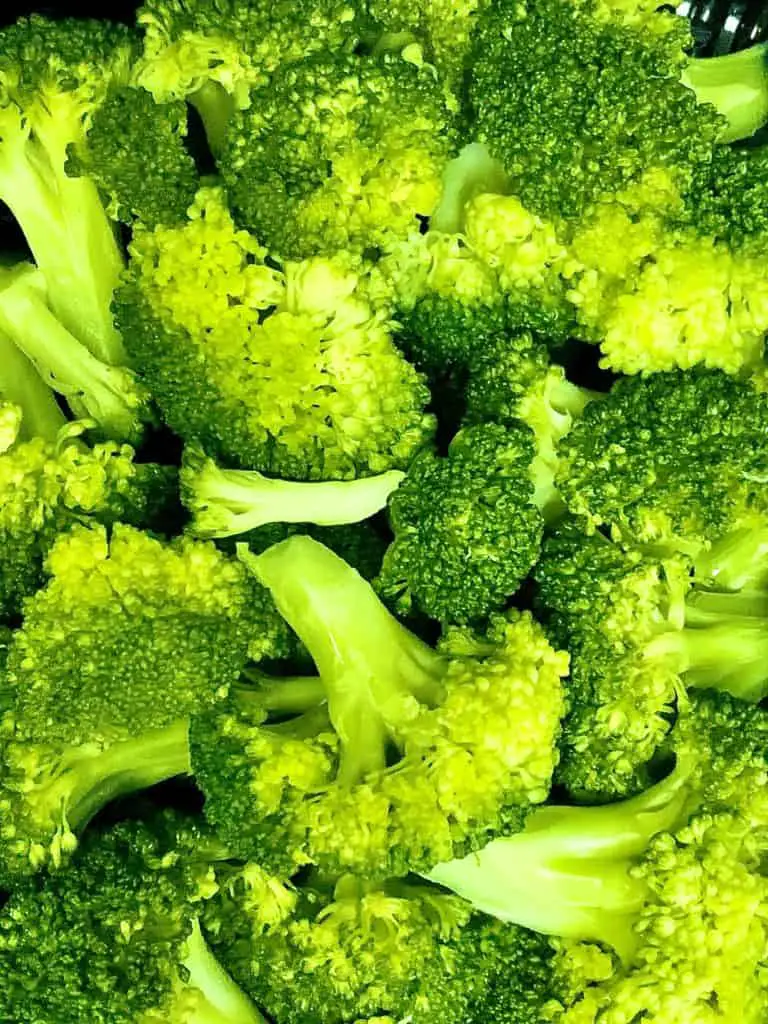  Can Dogs Eat Broccoli?  -   Precautions When Serving Broccoli
