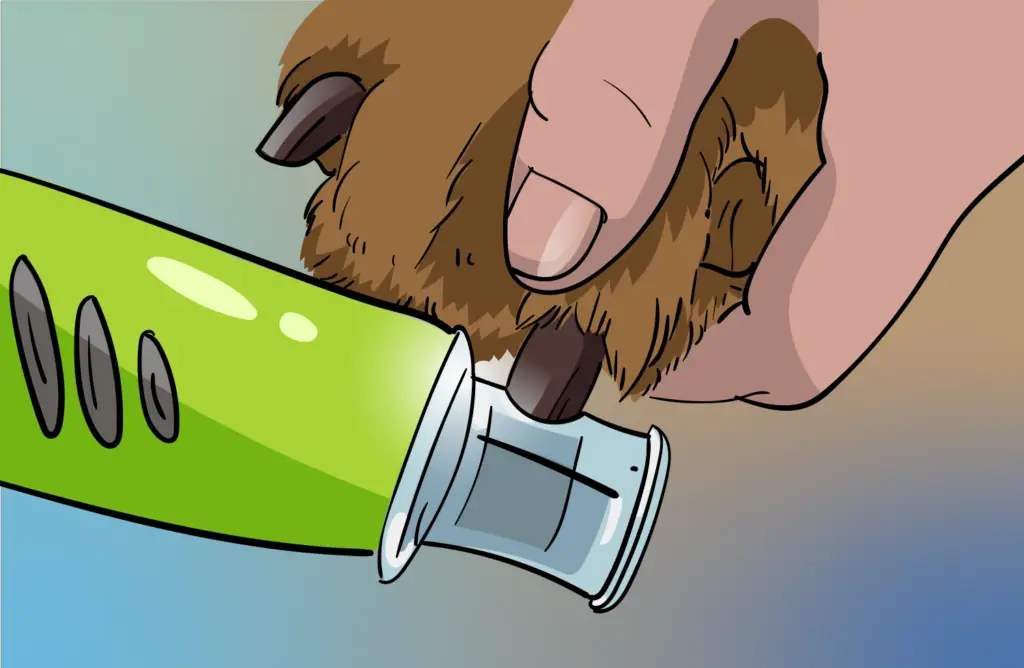 How to Grind Your Dog's Nails holding paw against grinder
