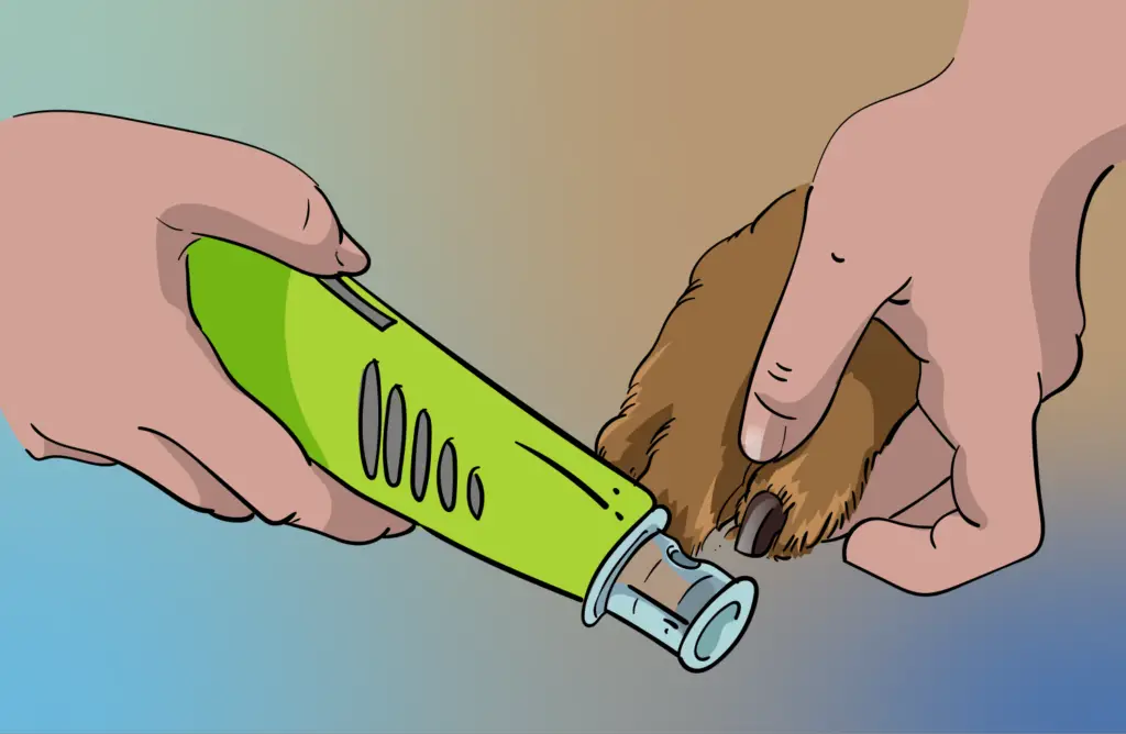 How to Grind Your Dog's Nails For better control of the grinder, hold the grinder up higher, towards the top.