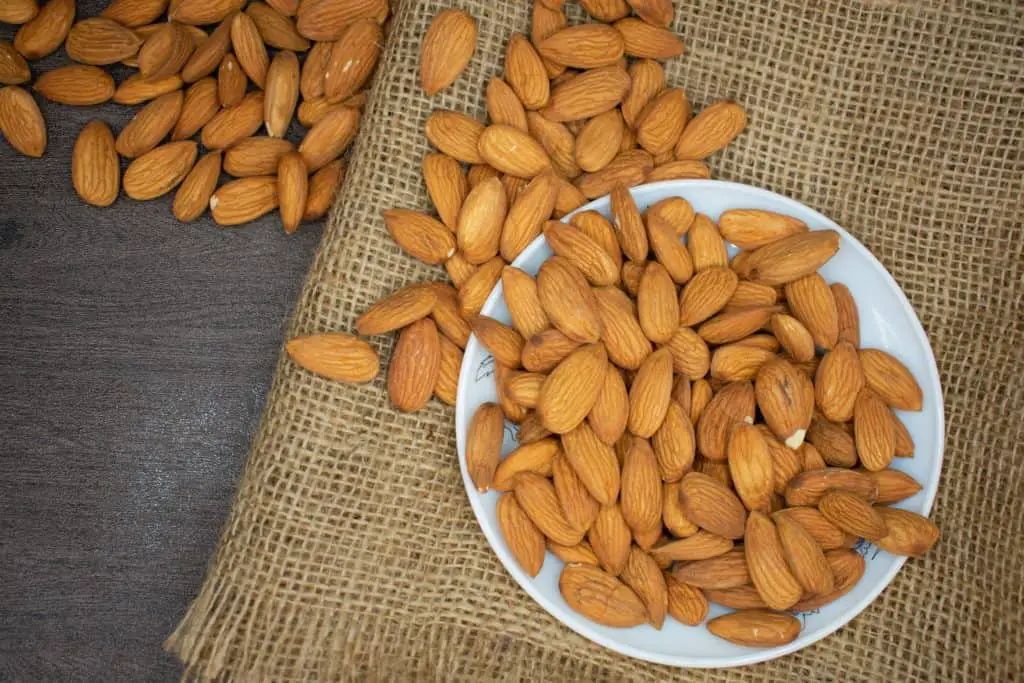 Can Dogs Eat Almonds? Are Almonds Nutritious for Dogs?