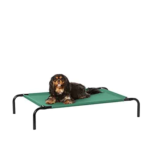 Amazon Basics Cooling Elevated Pet Bed, Small (36 x 22 x 7.5 Inches), Green