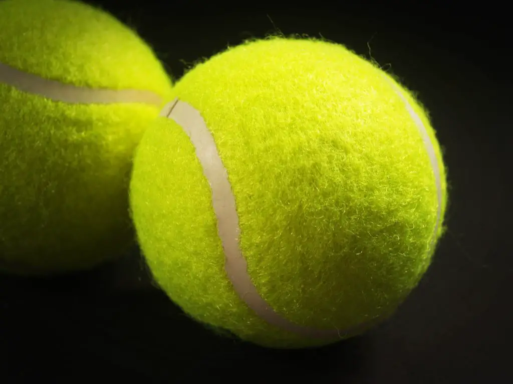Best Tennis Balls for Dogs-1