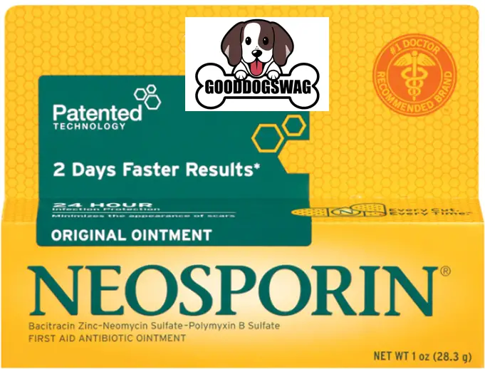 Can You Use Neosporin On Dogs box of Neosporin