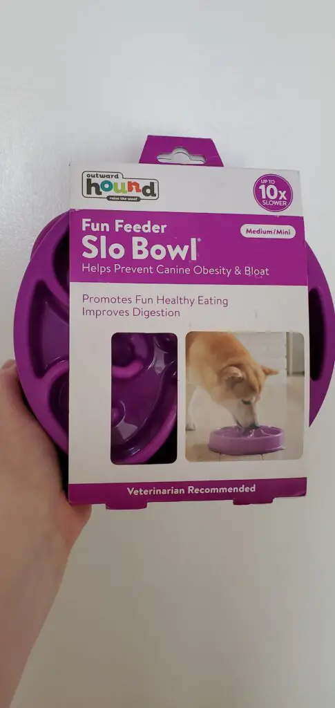 Best Slow Feed Dog Bowl Outward Bound brand dog bowl in packaging