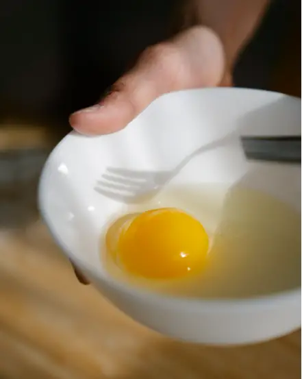 Cracked Raw Egg Over Dog Food Felicity Tai photo raw egg in white bowl