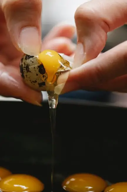 Cracked Raw Egg Over Dog Food Klaus Nielsen 3 person cracking egg into bowl off raw eggs
