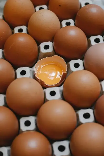 Cracked Raw Egg Over Dog Food Klaus Nielsen open egg in shell in middle of carton of eggs