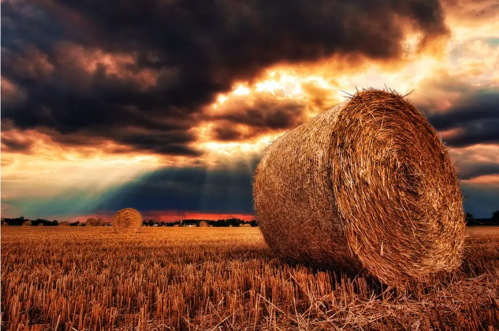 Straw for Dogs Johannes Plenio photo of straw in field with light shining through dark clouds in distance