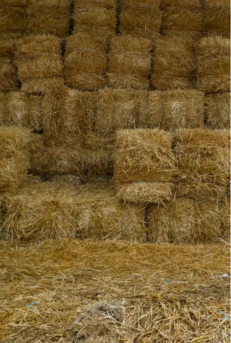 Straw for Dogs Jubbar J photo of stacks of hay in barn