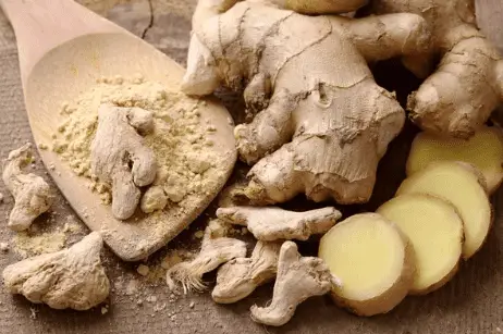 Pepto Bismol for Dogs alternative fresh ginger