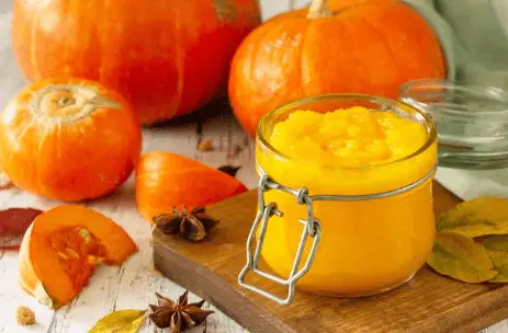 Peptol Bismol for Dogs alternative canned pumpkin in jar