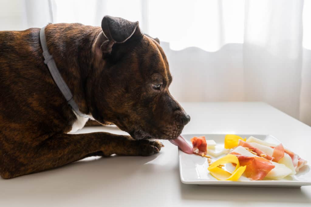 Can Dogs Eat Ham?